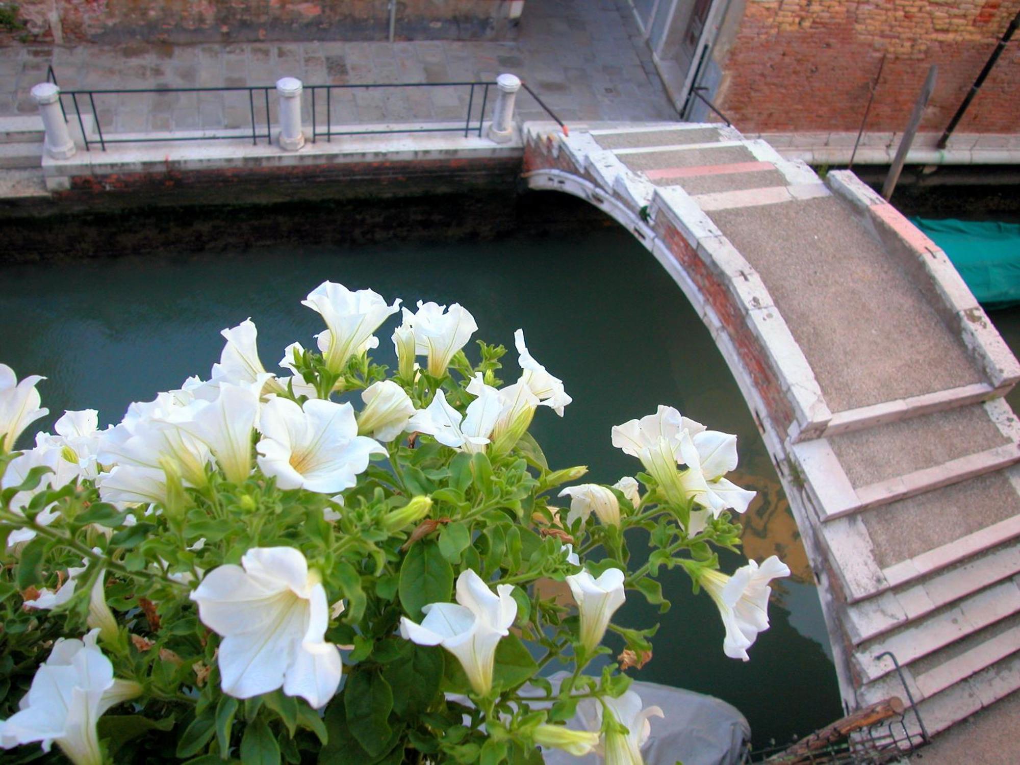 Bed and Breakfast 3749 Pontechiodo Benátky Pokoj fotografie